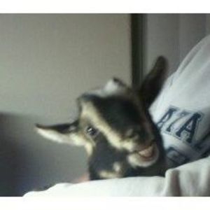 Meet your Posher, Pam